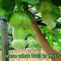 which type of fruit is this.jpg